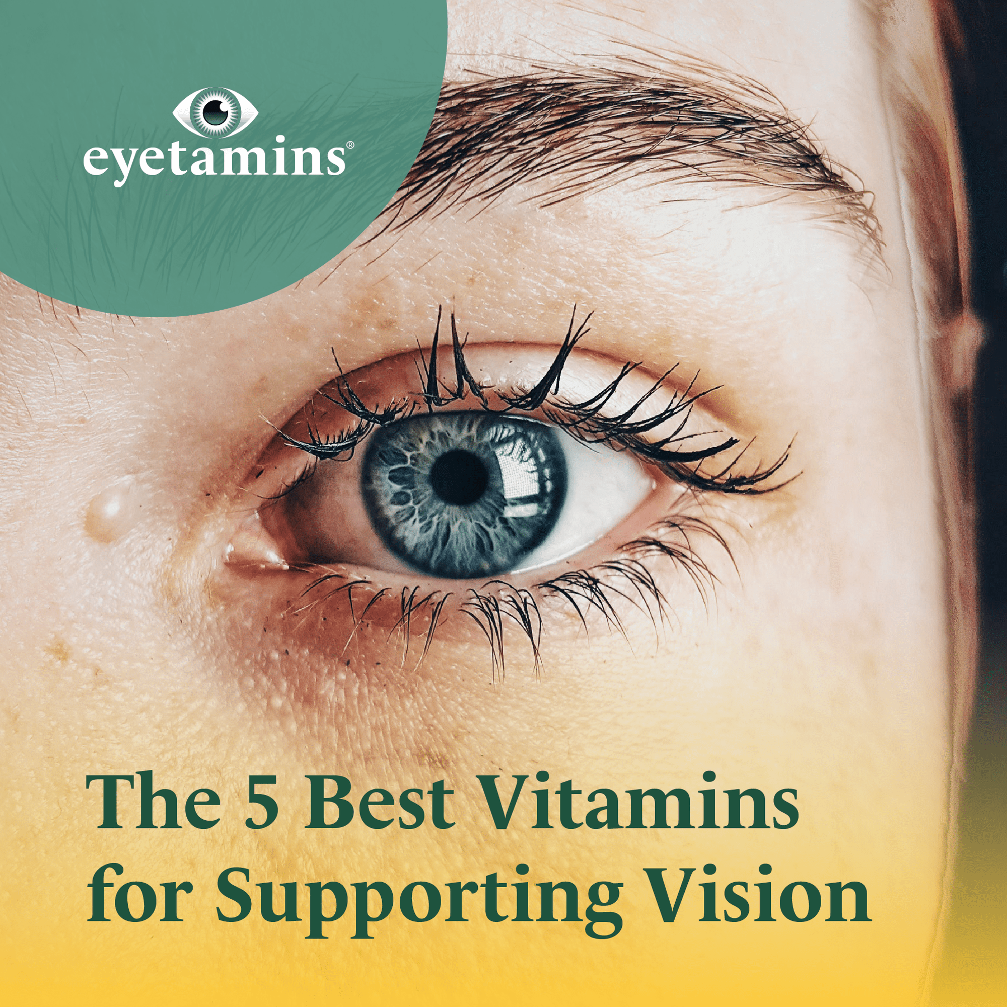 The 5 Best Vitamins for Supporting Vision