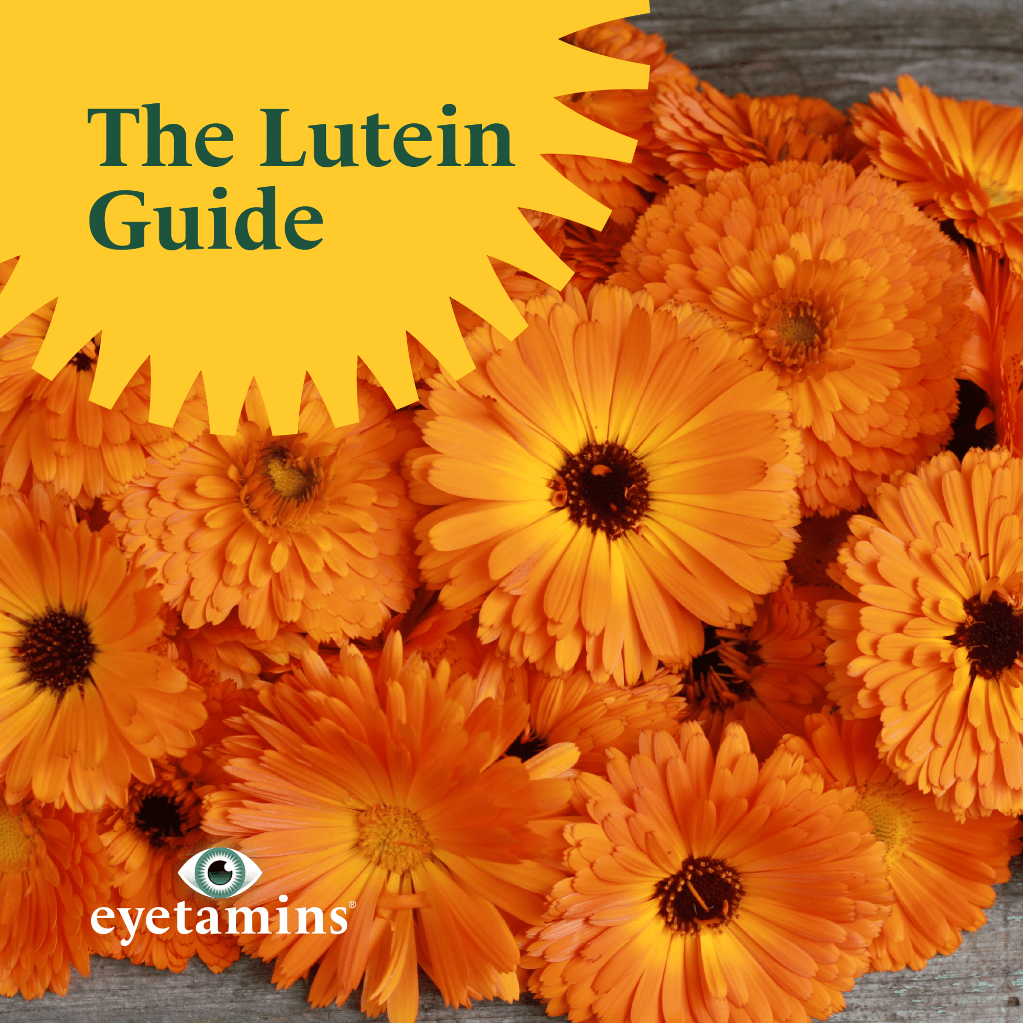 Eyetamins - The Lutein Guide