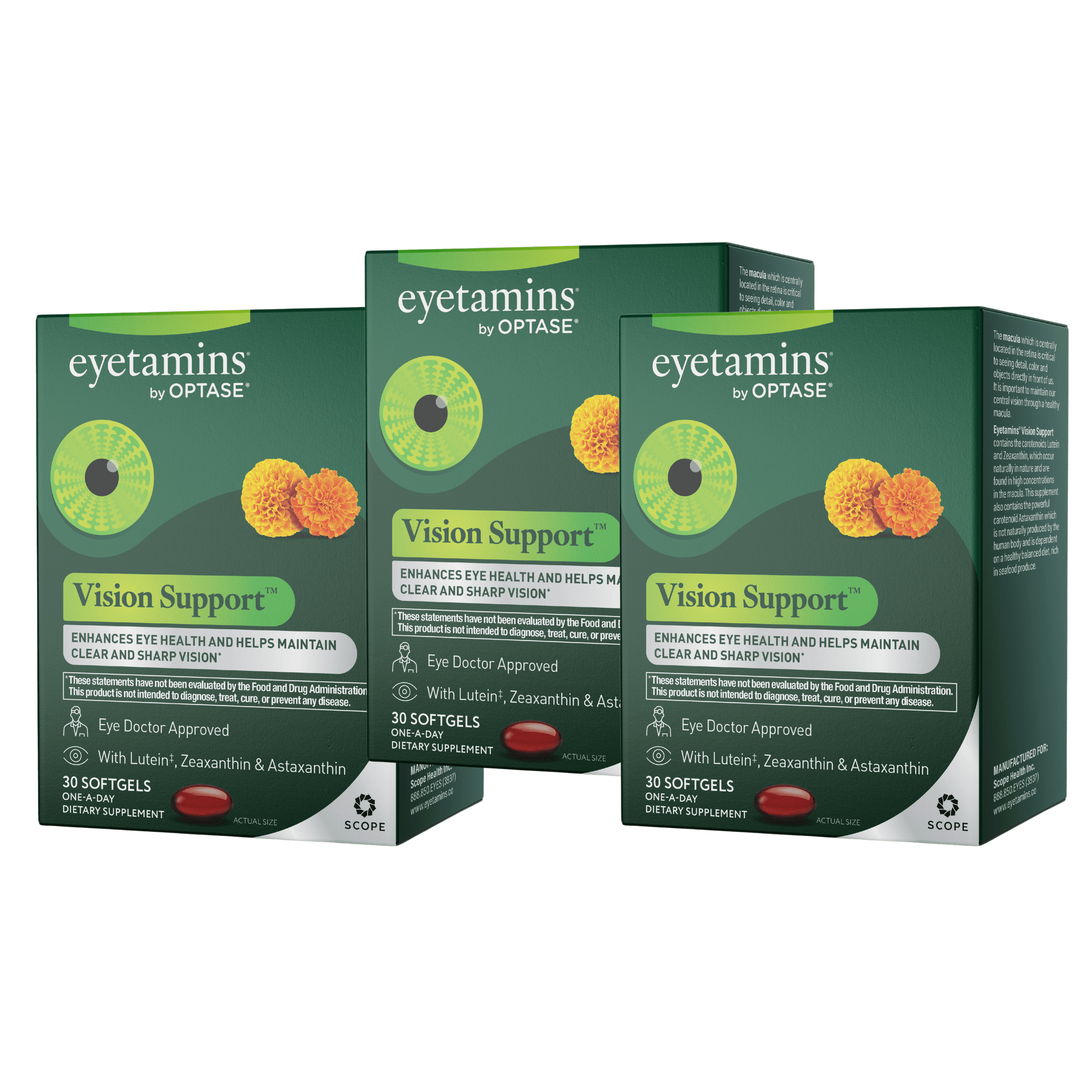 Vision Support 3 Boxes