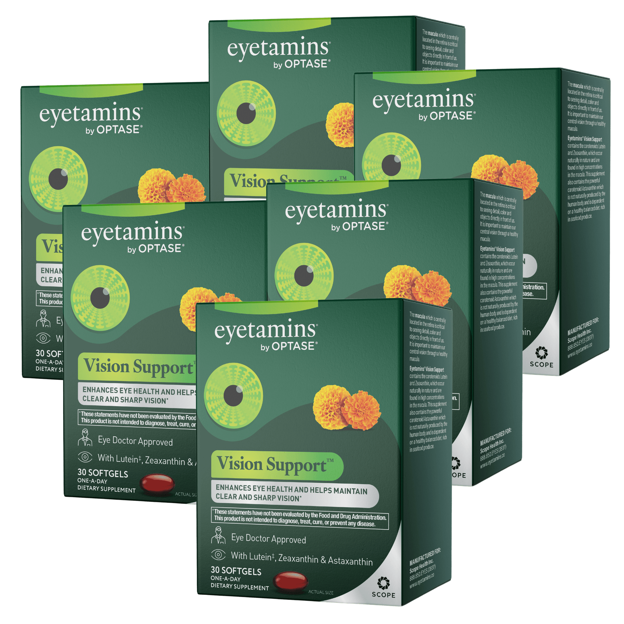 Vision Support 6 Boxes