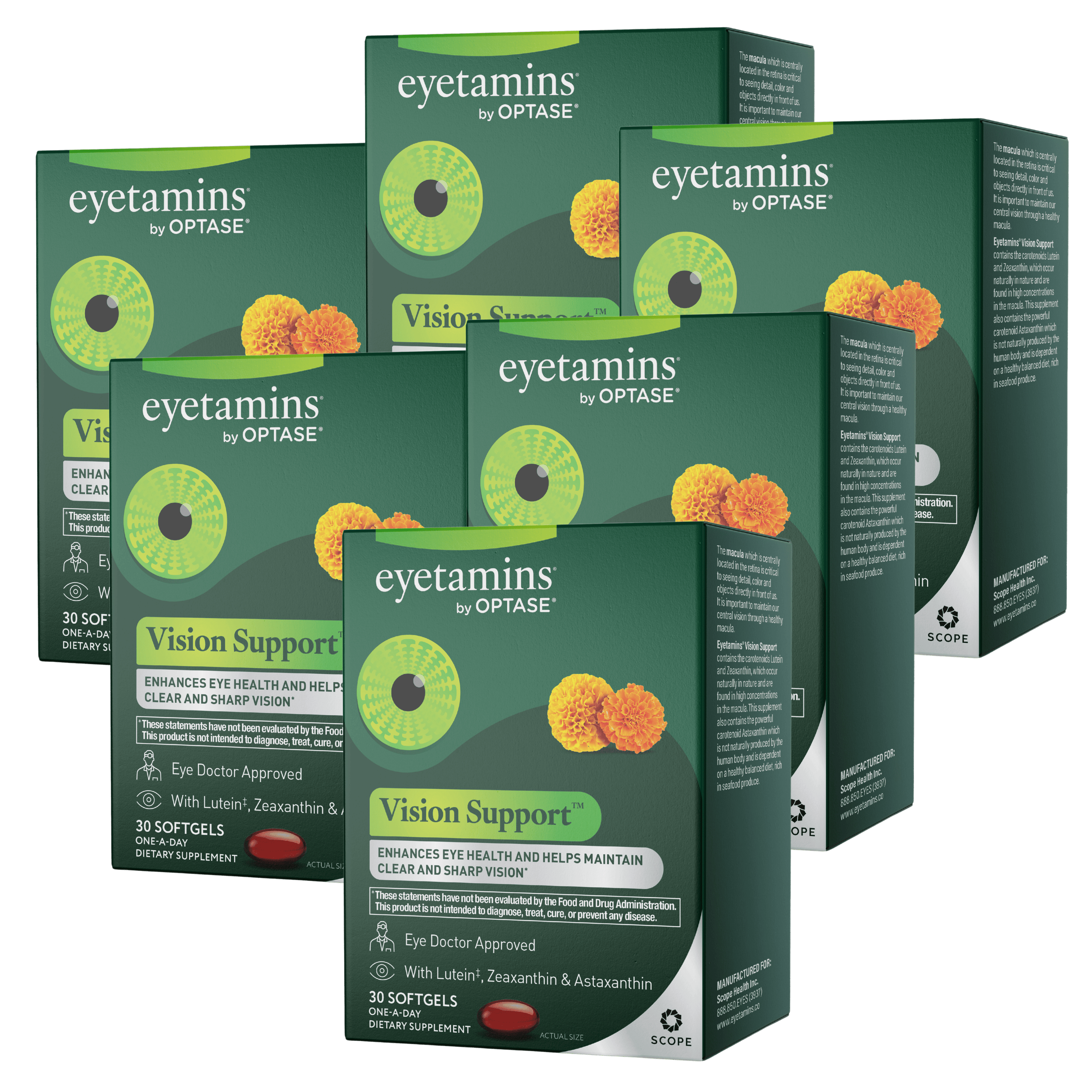 Vision Support 6 Boxes