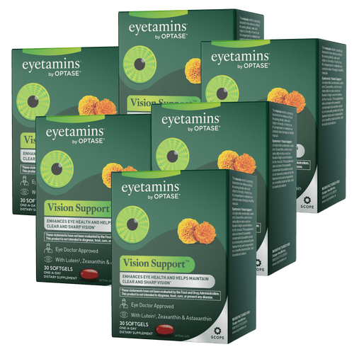 Vision Support 6 Boxes