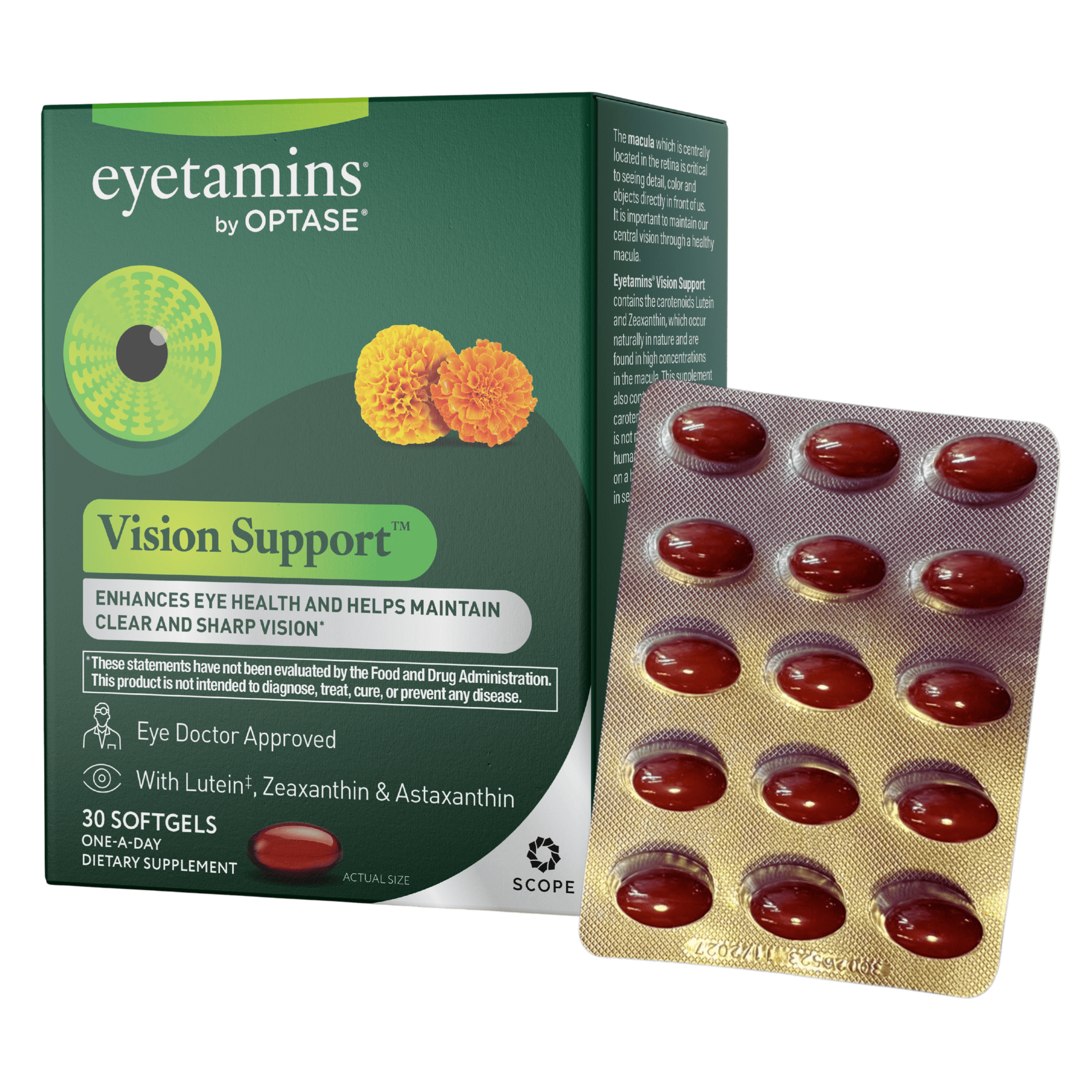Vision Support